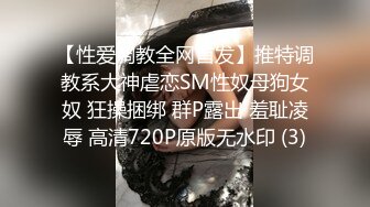 【性爱调教全网首发】推特调教系大神虐恋SM性奴母狗女奴 狂操捆绑 群P露出 羞耻凌辱 高清720P原版无水印 (3)