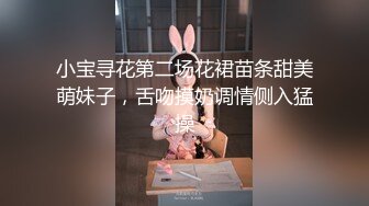 小宝寻花第二场花裙苗条甜美萌妹子，舌吻摸奶调情侧入猛操