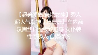 【超美颜值 美艳女神】秀人超人气女神『杨晨晨』车内痴汉黑丝长腿极致魅惑 女仆装性感诱人 自摸揉胸