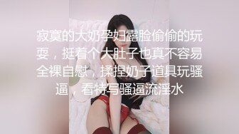 寂寞的大奶孕妇露脸偷偷的玩耍，挺着个大肚子也真不容易全裸自慰，揉捏奶子道具玩骚逼，看特写骚逼流淫水