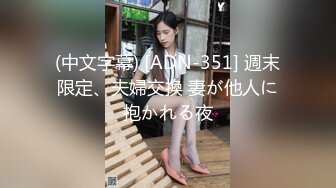 (中文字幕) [ADN-351] 週末限定、夫婦交換 妻が他人に抱かれる夜