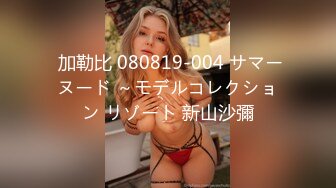  加勒比 080819-004 サマーヌード ～モデルコレクション リゾート 新山沙彌